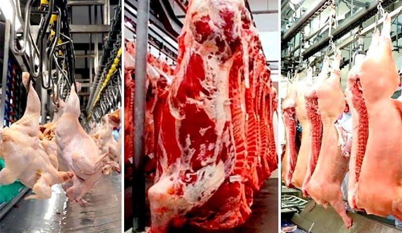 Conab estima que produção brasileira de carnes deve alcançar 33,38 milhões de toneladas em 2026