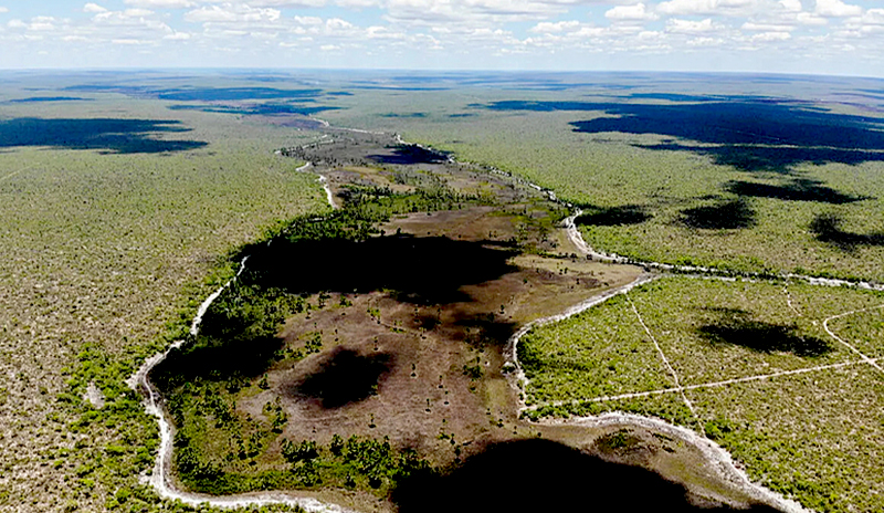 Limpeza no Rio do Brás remove mais de 260 toneladas de vegetação que  encobria a água - Portal Norte da Ilha